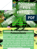 FOTOSINTESIS