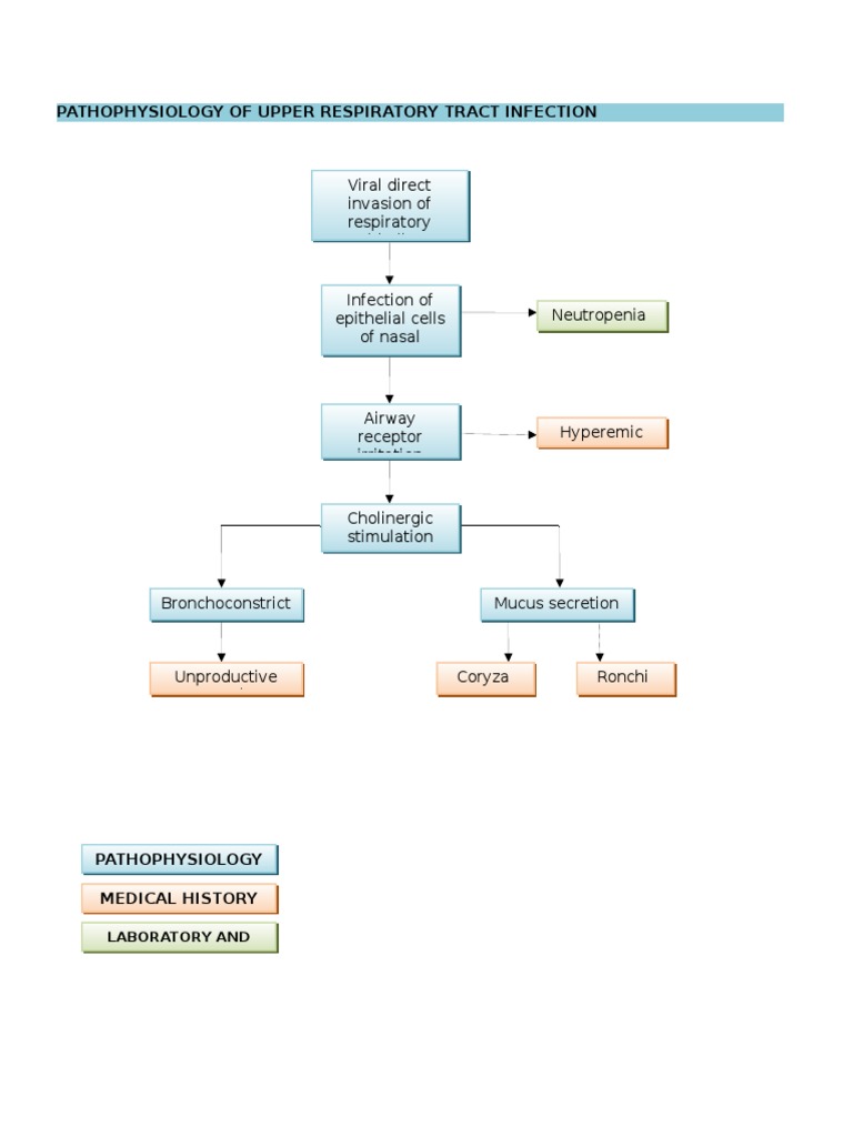 Pathophysiology of Upper Respiratory Tract Infection | PDF