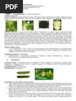 Aloe Vera | PDF | Healing | Biology