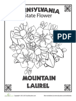 Pennsylvania: State Flower