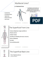 Myofascial Lines