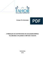 Cristian Fin Schneider PDF