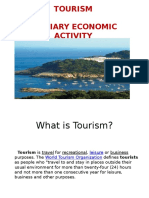 Tourism Industry: Economic Activity & Trends