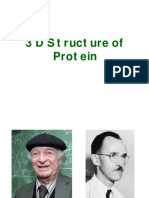 Presentation Protein