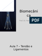 Biomecânica Aula - Ligamentos e Tendão