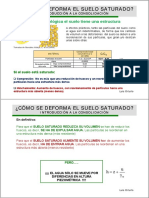 Introducion a la consolidacion - Luis Ortuño.pdf