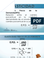 Elasticidad.pdf