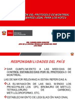 11 Protocolo Montreal Peru