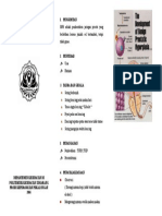 Leaflet Benigna Prostat Hiperplasia (BPH)