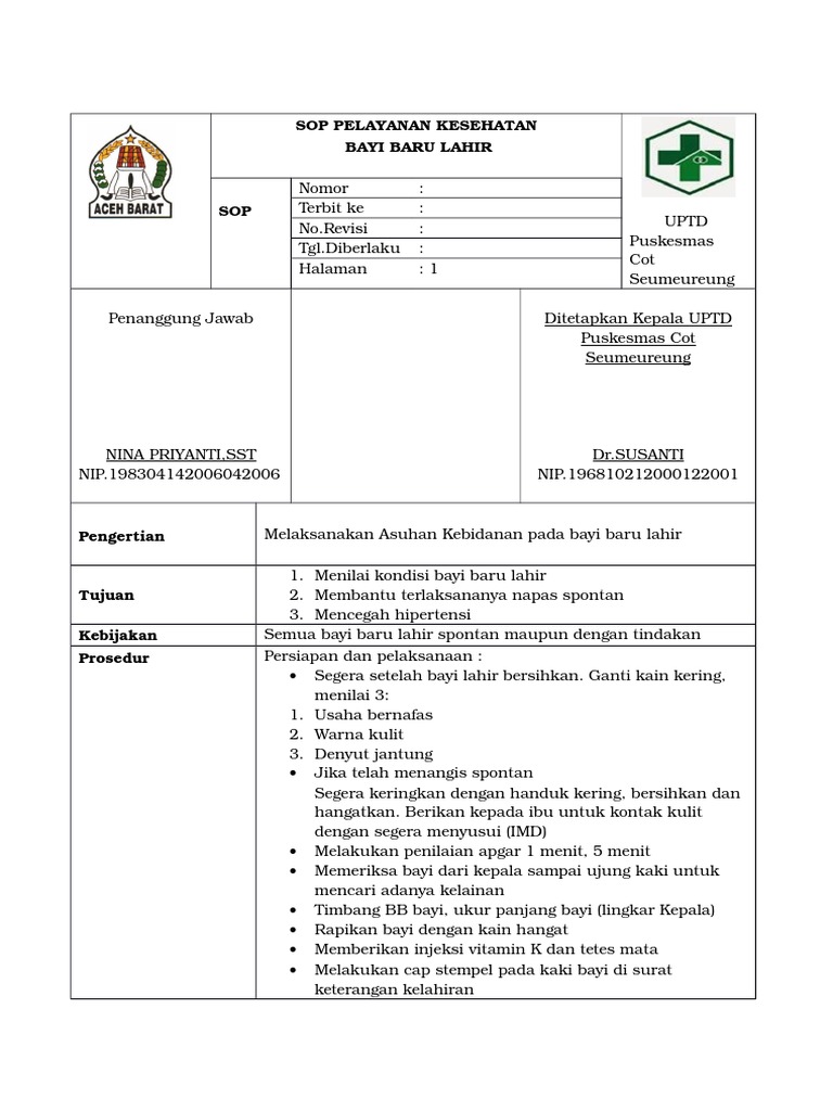 Sop Pelayanan Kesehatan Bayi Baru Lahir  PDF