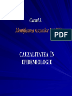 Identificarea Riscurilor, Cauzalitatea PDF