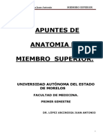 Anatomia Miembro Superior