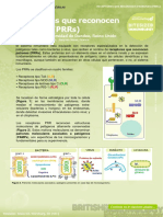 Pattern Recognition Receptors (Receptores Que Reconocen Patrones (PRRS) )