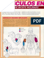 Ejercicios de Fortalecimiento Musculacion Tomados de Muscle & Fitness - 102 Pags. en PDF