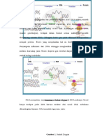 Paper Sintesis DNA