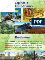 Capítulo 6 - Ecosistemas