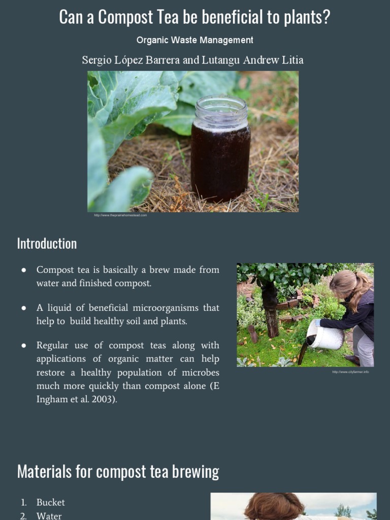 Benefits and Preparation of Compost Tea | PDF | Compost | Organic Matter