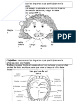 Reconocimiento de OFA y Praxias