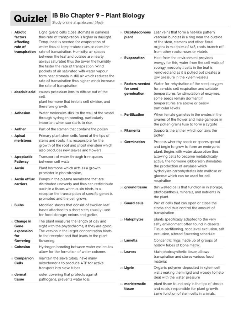 Quizlet PDF Stoma Leaf