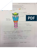 Trachea and Lower Respiratory System Diagrams Key