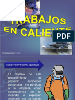Trabajos en Caliente 2010.pdf