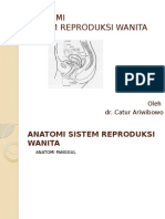 Anatomi Sistem Reproduksi