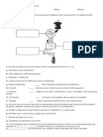 Octavo Guía de Conocimientos Previos