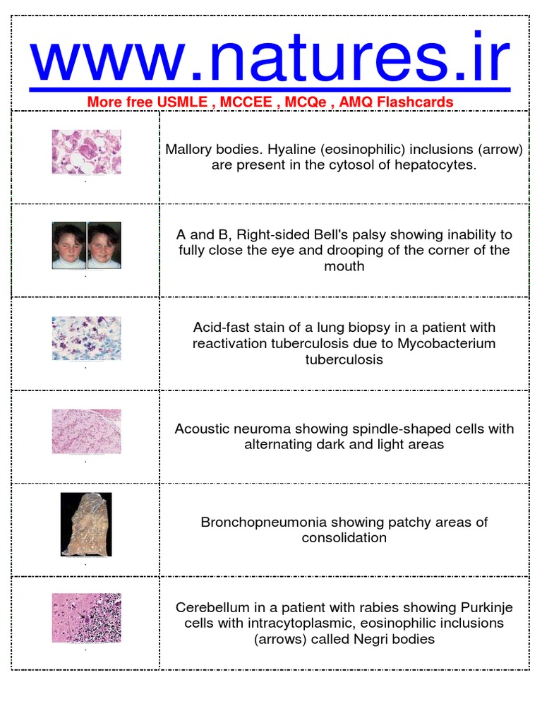 Rapid Review Biochemistry Goljan