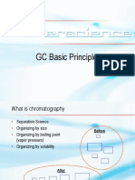 GasChromatography & CC-MS Principles IS2008-04-18.pdf