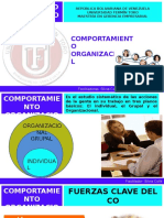 comportamientoorganizacional-131117201549-phpapp02