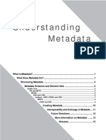 Understanding Meta Data PDF