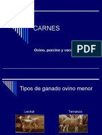 Powerpoint de Carnes