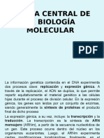 Dogma Bio Molecular