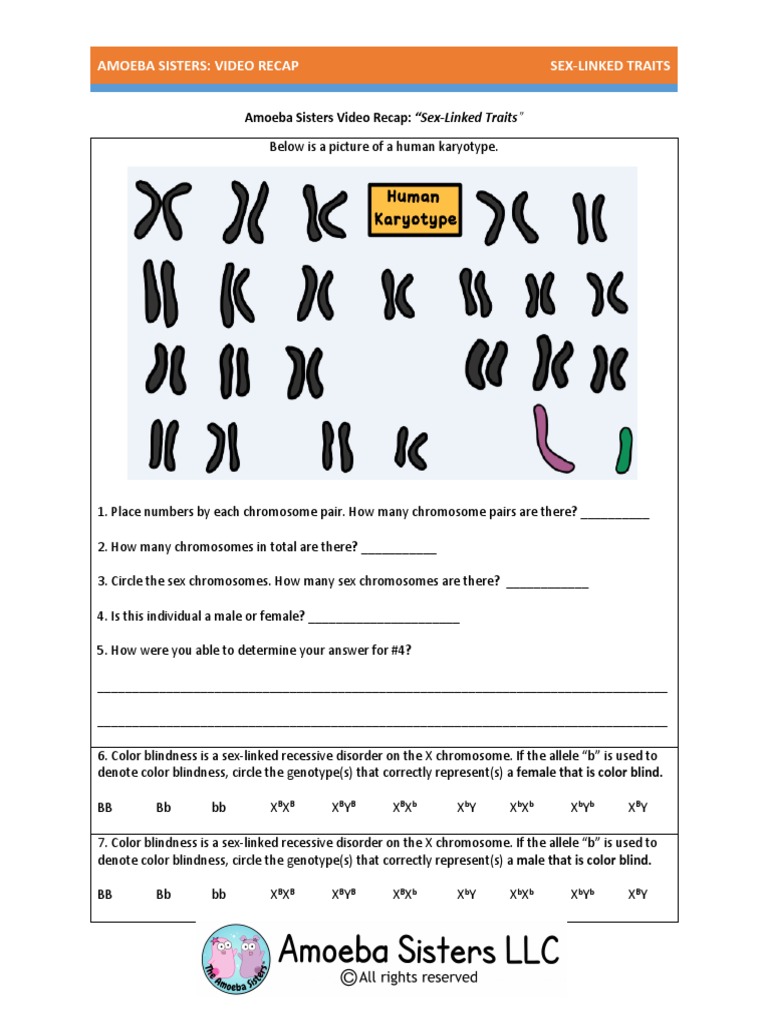 video recap of sex-linked traits by amoeba sisters 2