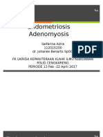 Endometriosis Adenomyosis