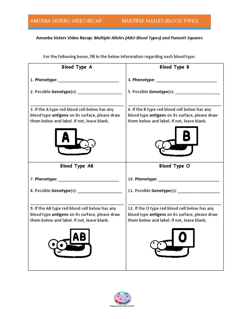 amoeba-sisters-multiple-alleles-work-sheet-amoeba-sisters-alleles-and