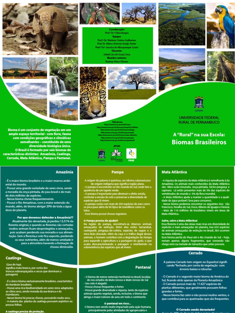 Clima e Vegetação Do Brasil, PDF, Floresta Amazônica