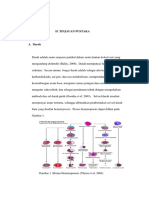 Hematopoesis Unila