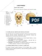 Huesos y funciones del cráneo