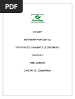 Download 14 VENDAJES by Spartan Redfield SN34394487 doc pdf