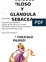 Glándula Sebácea y Folículo Piloso E4.pptx