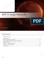 BGP in Large Networks PDF