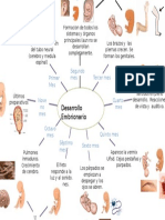Dearrollo Embrionario