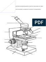 El Microscopio Óptico