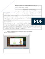 Formato Peligros Riesgos Sec Economicos