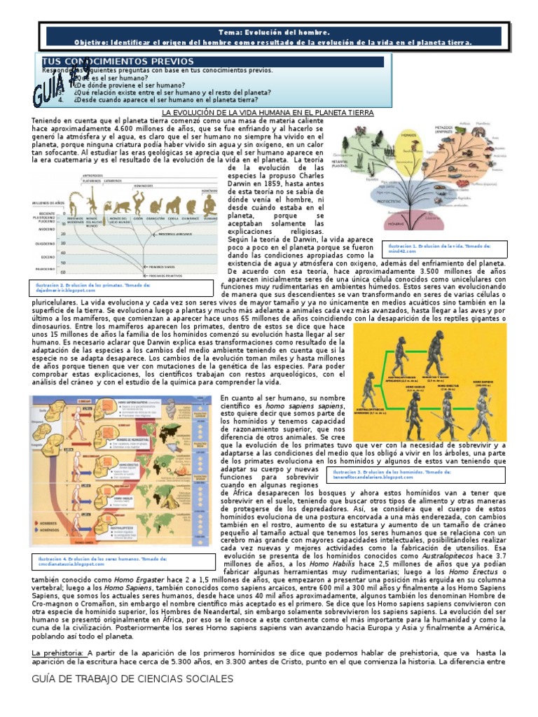 La Evolución de La Vida Humana | PDF | Homo | Homo Sapiens
