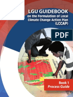 BOOK 1-LGU Guidebook in LCCAP Formulation (Process) PDF