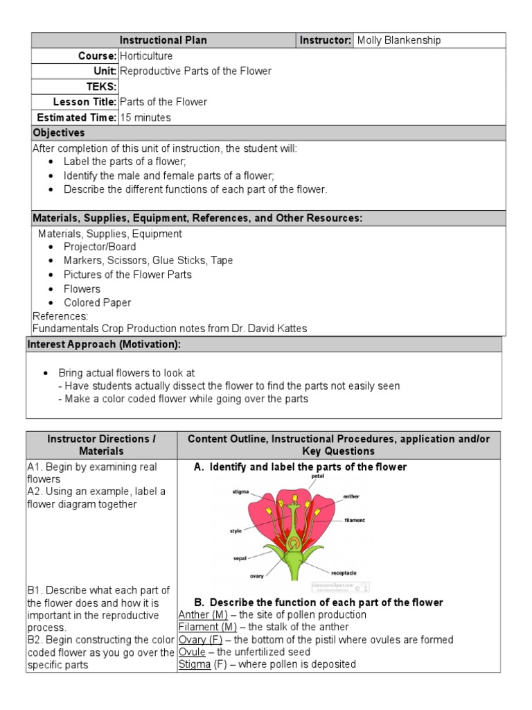 lesson-plan-on-flowers