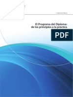 Programa Del Diploma de Los Principios A La Prã¡ctica PDF