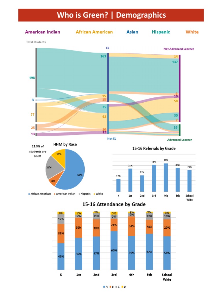 Green 16-17 Needs Assessment Visual Charts | PDF | Race And Ethnicity ...